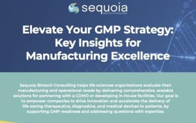 Elevate Your GMP Strategy: Key Insights for Manufacturing Excellence